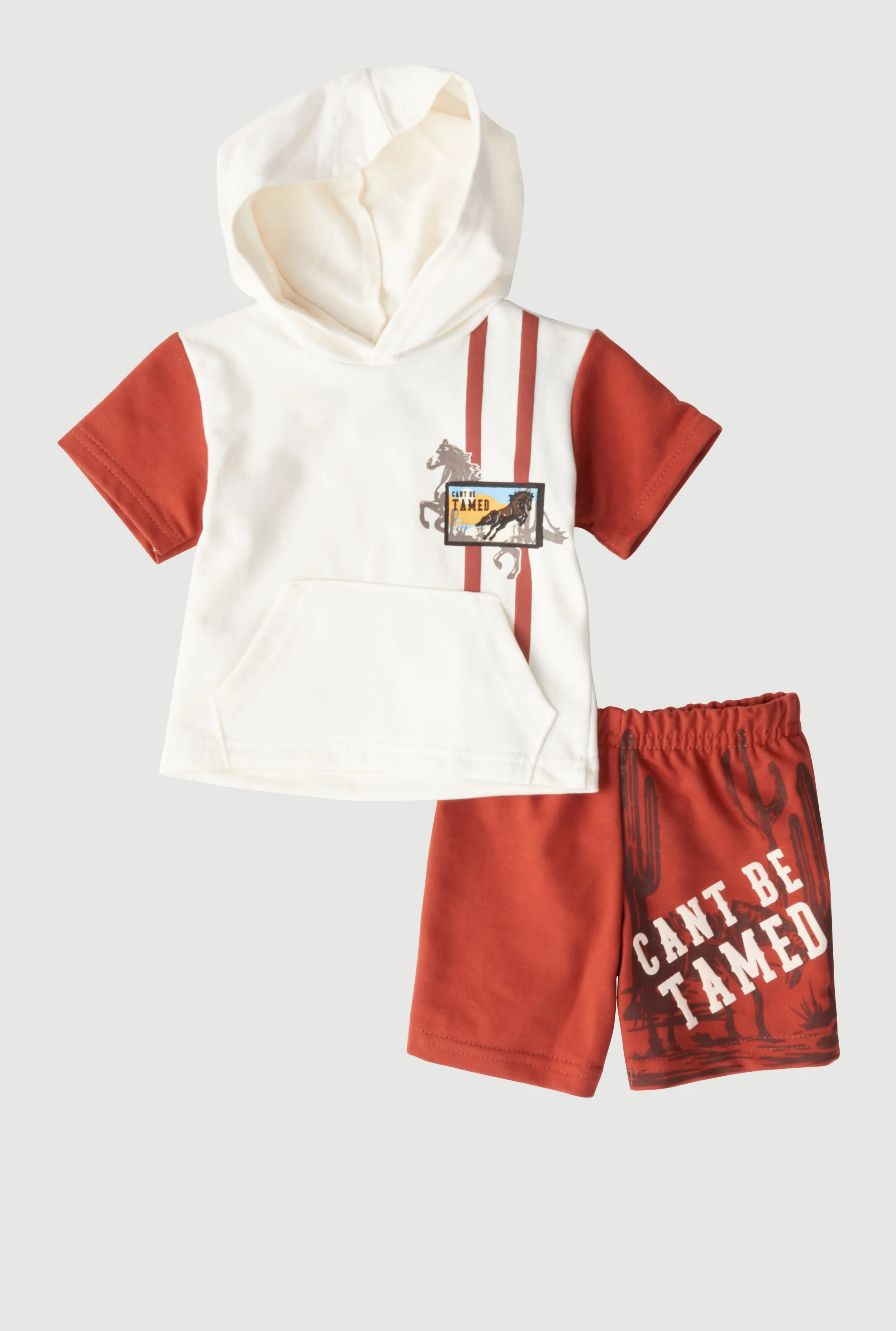 Baby Boys 0-9M Horse Graphic Hooded Top and Shorts