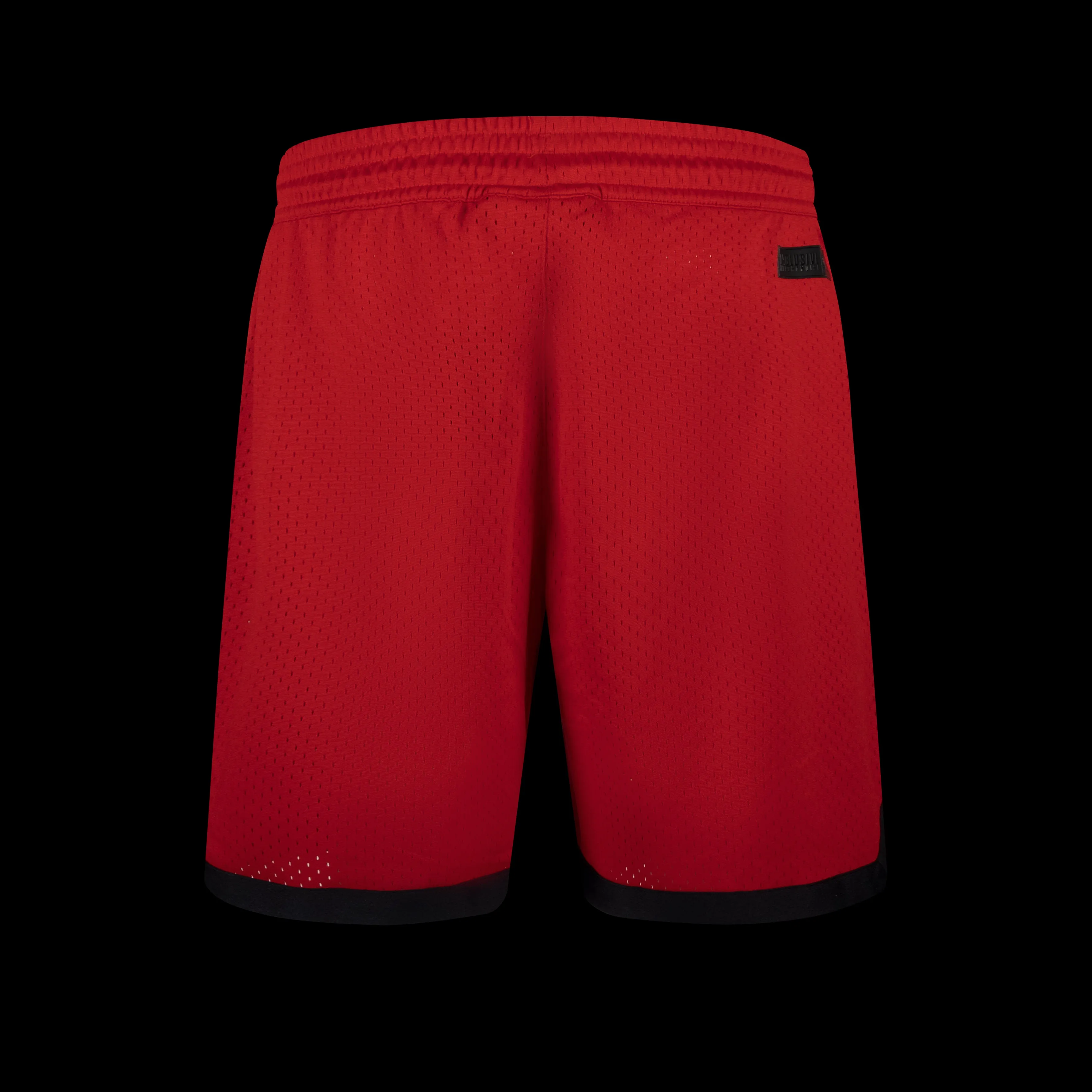 NBA Front Logo RF Mesh Short - Chicago Bulls